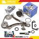Timing Chain Kit Vvt Gear Solenoid Water Oil Pump Fit Toyota Chevrolet 1zzfe